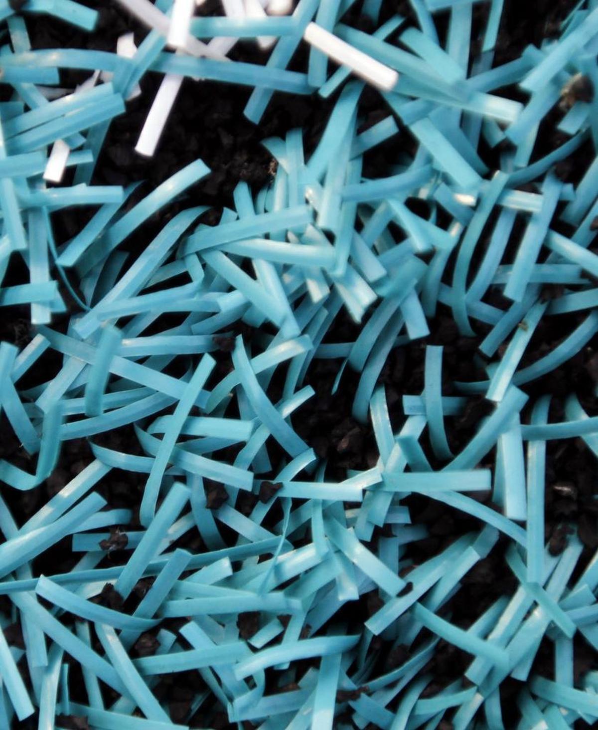 Coastal Carolina debuted the teal turf in a game against Western Illinois on Saturday, Sept. 19, 2015.