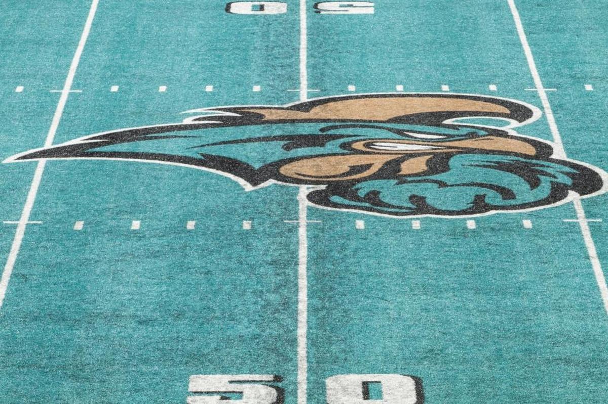 Brooks Stadium with its signature teal turf.