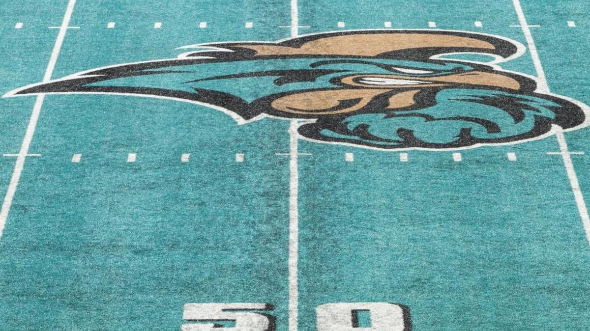 
Brooks Stadium with its signature teal turf.
