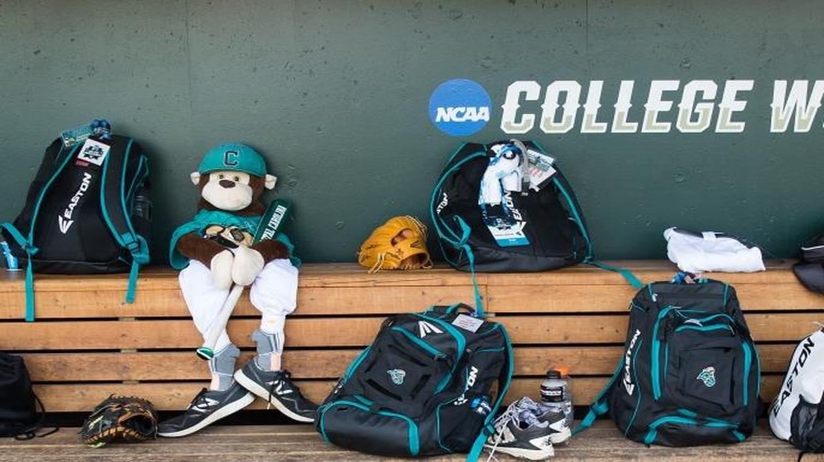 Coastal Carolina’s stuffed monkey, Rafiki, the team’s good luck charm, watches over their equipment during Friday’s practice.