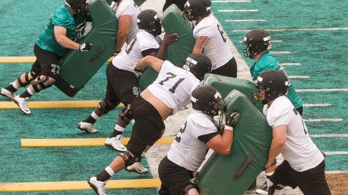 
The CCU Offensive Line does blocking drills during the first day of practice at Brooks Stadium.
