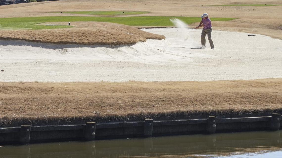 Course review: Long Bay Club a thinker’s course