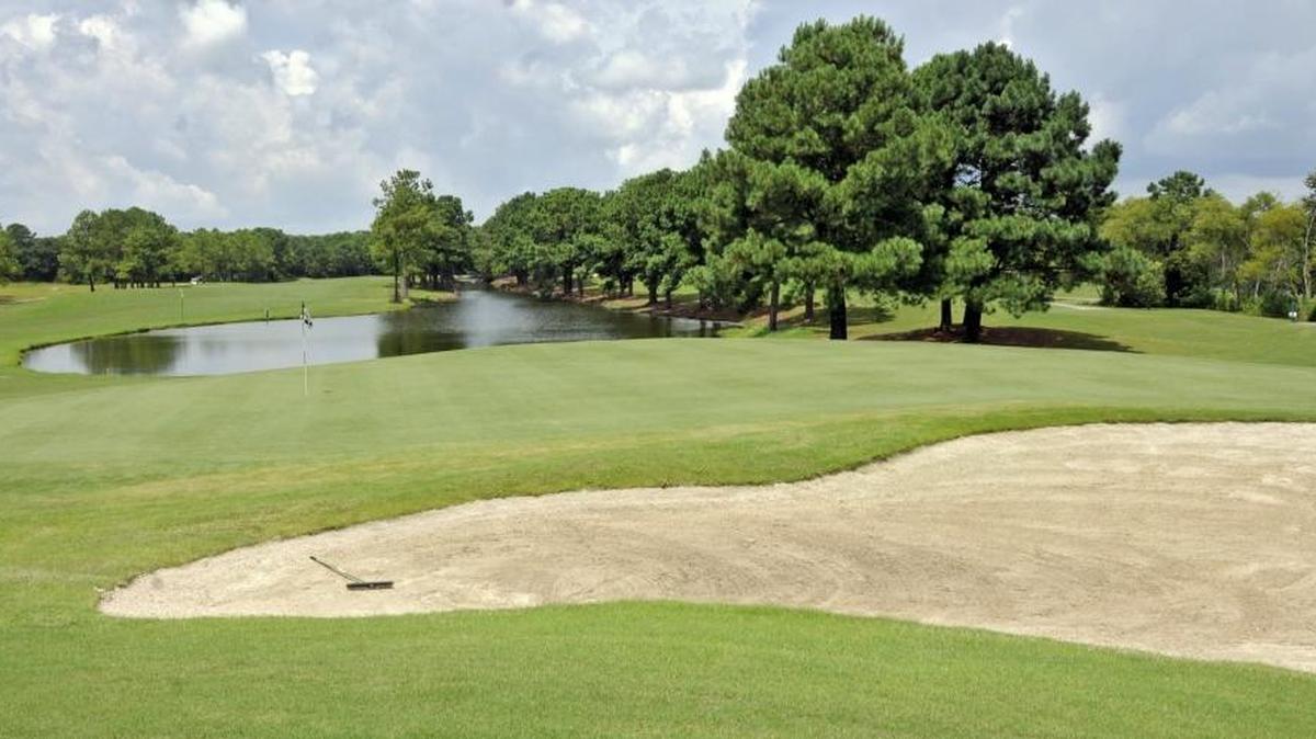 Meadowlands Golf Club was named the 2018 golf course of the year by the Myrtle Beach Area Golf Course Owners Association.