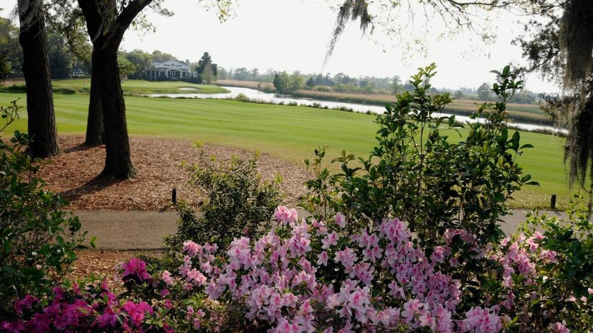 Beautiful azaleas surround many holes and tee boxes at Caledonia Golf & Fish Club, which is among the top courses in South Carolina according to Golfweek, Golf Digest and the South Carolina Golf Course Ratings Panel.