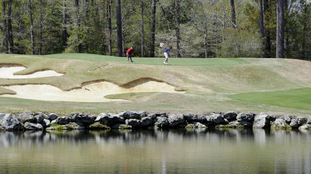 The par-3 second hole at Tiger's Eye Golf Links has an elevated green guarded by sand and water.