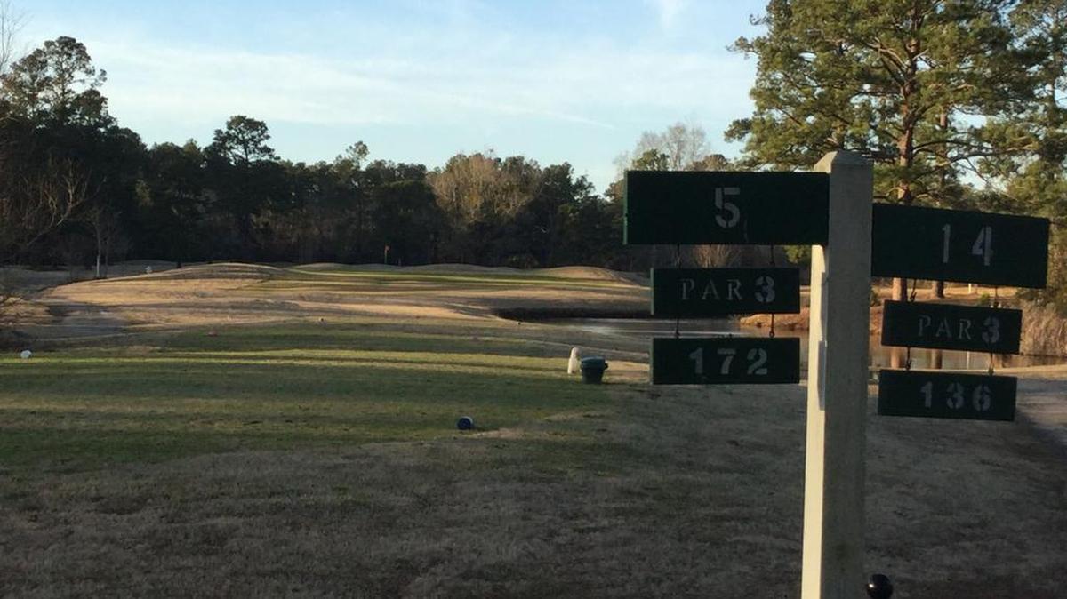 Conway Golf Club, a nine-hole layout that is among the oldest golf courses on the Grand Strand, is under contract to a housing developer and has been involved in a lawsuit.