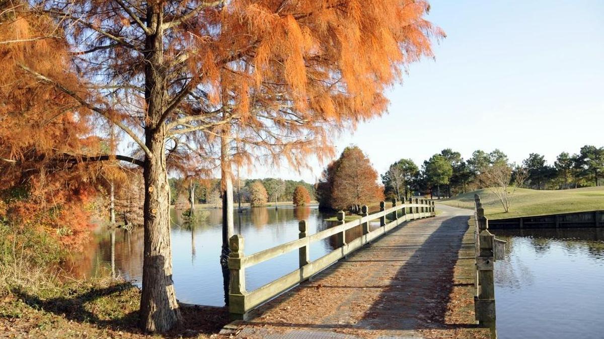 Crow Creek, on the North Carolina-South Carolina border in Calabash, N.C., bucked the market trend in 2017 to replace bentgrass with a form of ultradwarf Bermudagrass, and resurfaced its greens with V8 bent.