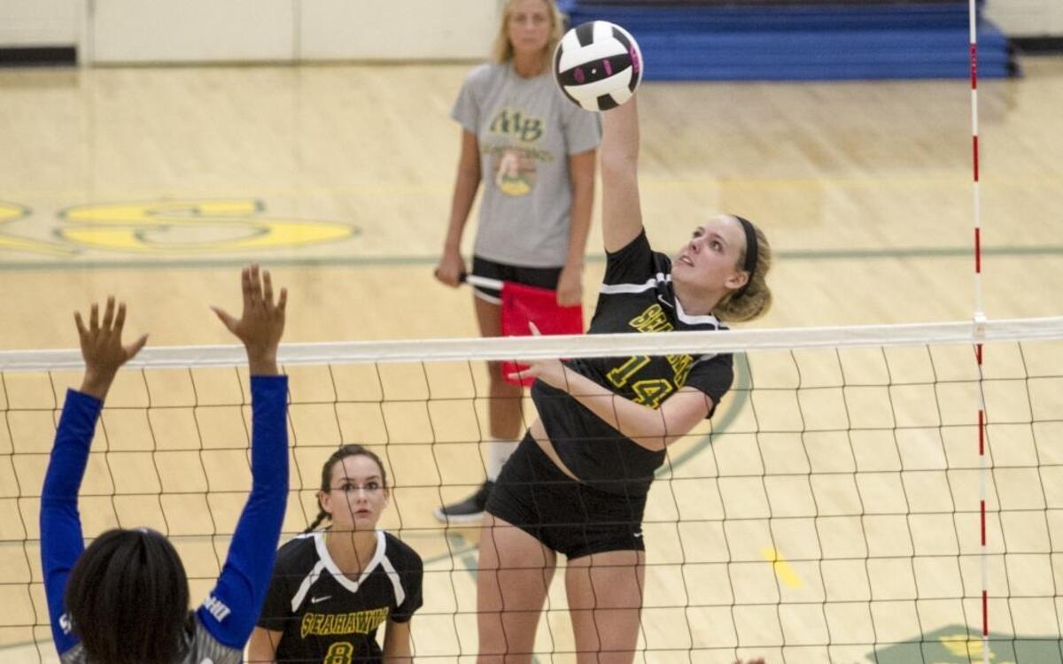 Myrtle Beach volleyball standout Gracie Davis was one of a pair of Seahawks to earn Class 4A all-state honors, joining teammate Cassie Runyon.