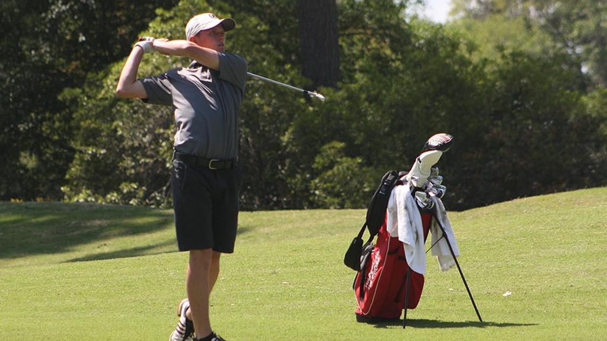 Waccamaw boys golfer Patrick Golden looks on as his shot approaches a green at the Caledonia Golf & Fish Club in Pawleys Island on Friday.