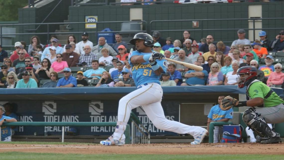 Myrtle Beach Pelicans hold on to beat Potomac Nationals