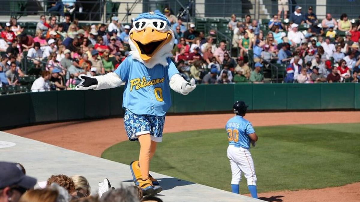 Pelicans mascot Splash entertains the crowd.