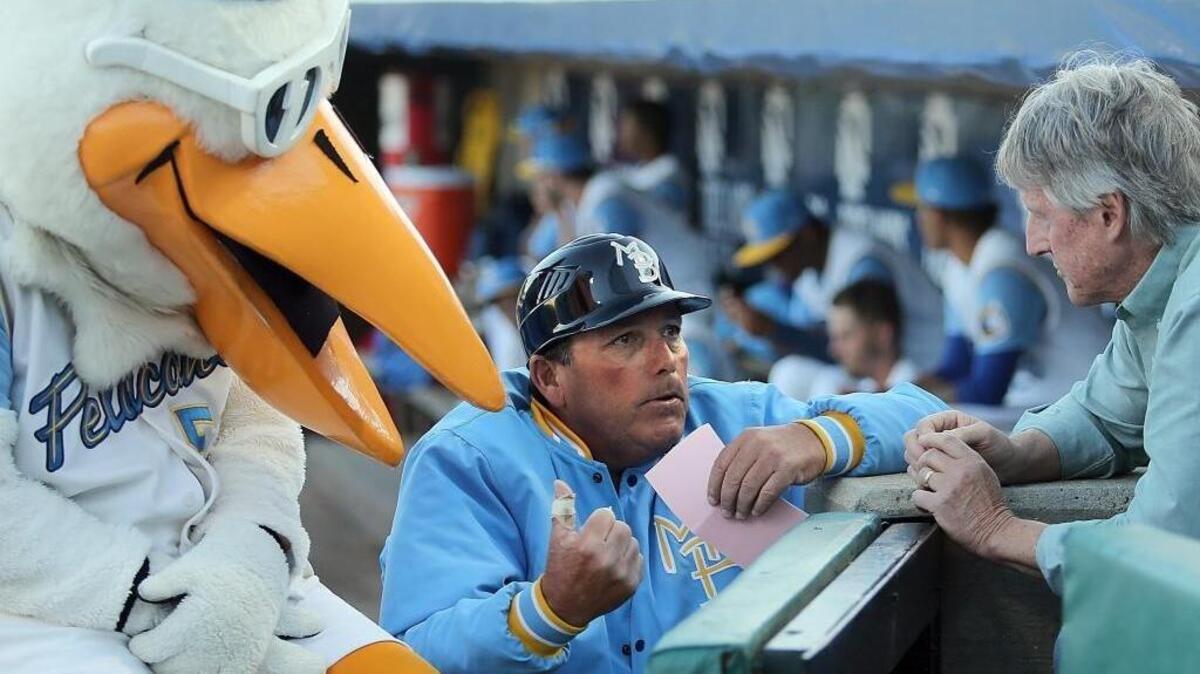 Pelicans manager Buddy Bailey has led Myrtle Beach to seven straight wins after Friday’s victory over the Carolina Mudcats at TicketReturn.com Field at Pelicans Ballpark.