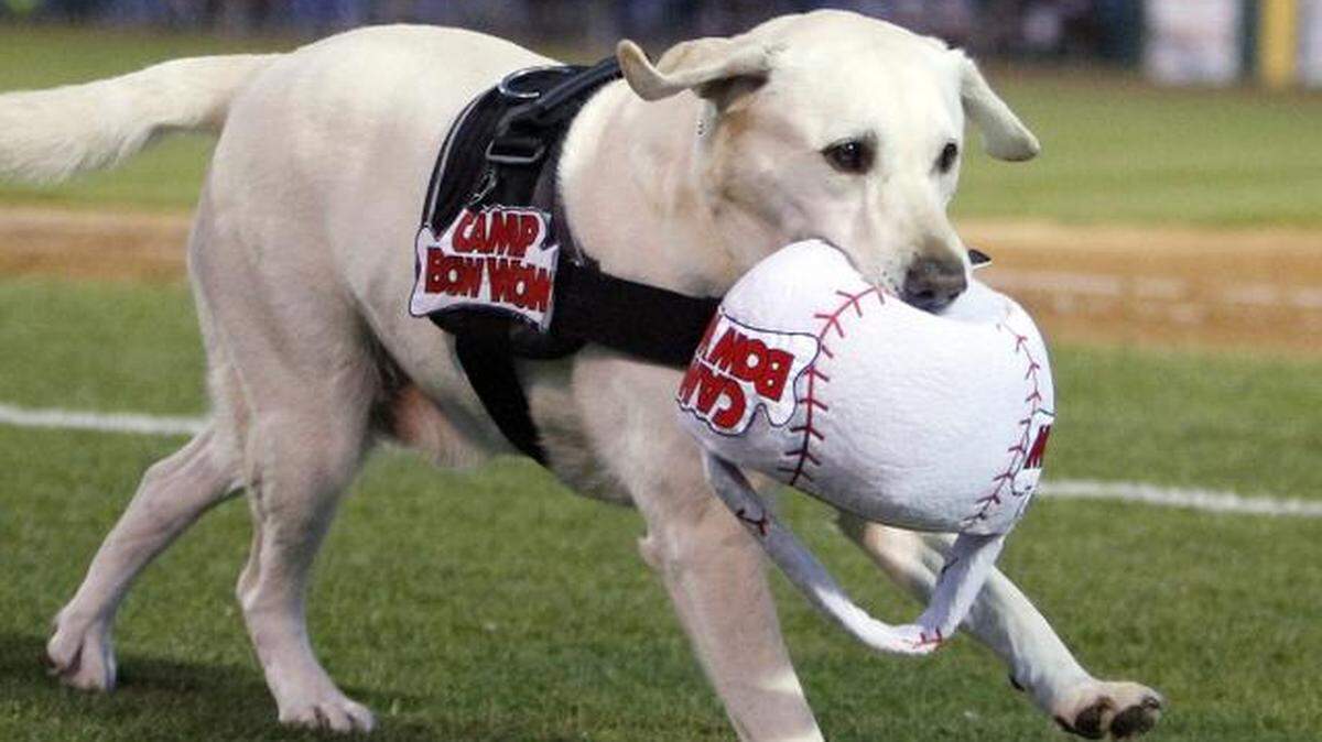 Deuce is being retired by the Myrtle Beach Pelicans.