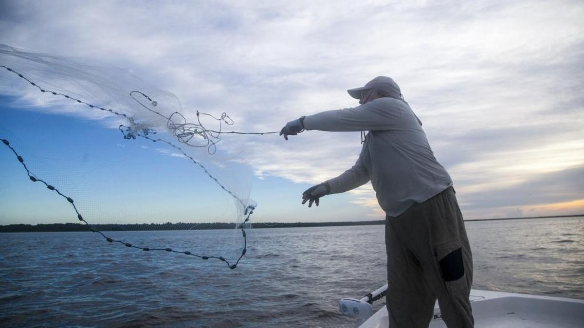 Captain Mike McDonald throws a cast net to catch menhaden to use for bait in Winyah Bay, Georgetown.