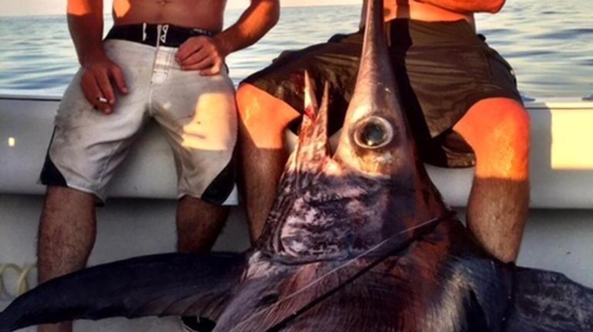 Ronald Stanley and Daniel Simmons display the 409-pound swordfish caught aboard Reel McCoy out of Ocean Isle Beach, N.C., in July.