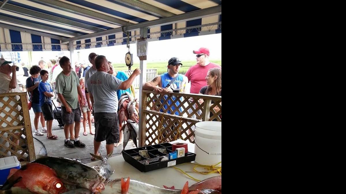 
A variety of fish caught aboard the New Inlet Princess in Murrells Inlet sit on the cleaning table.
