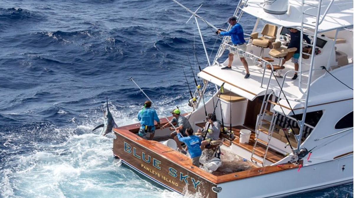 The crew of Blue Sky, which won the Megadock Billfishing Tournament last weekend out of Charleston City Marina, brings a blue marlin to the boat.
