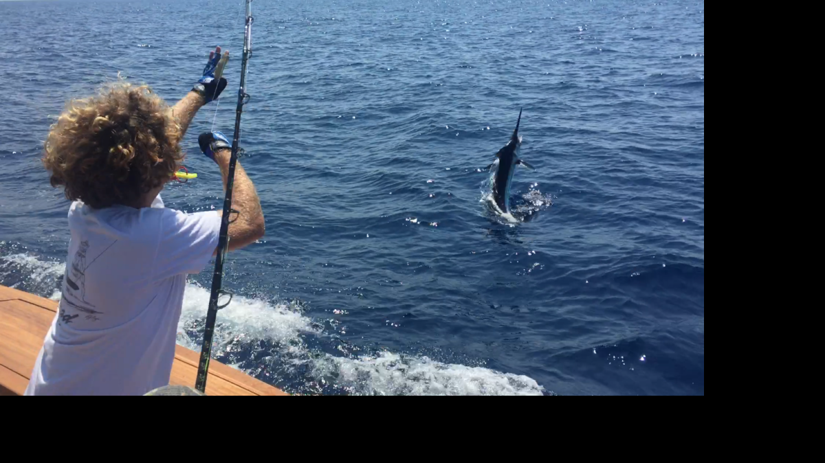 
Mate Ross Thames of McClellanville watches a blue marlin break the water off Reel Passion during the South Carolina Governor's Cup Billfishing Series.
