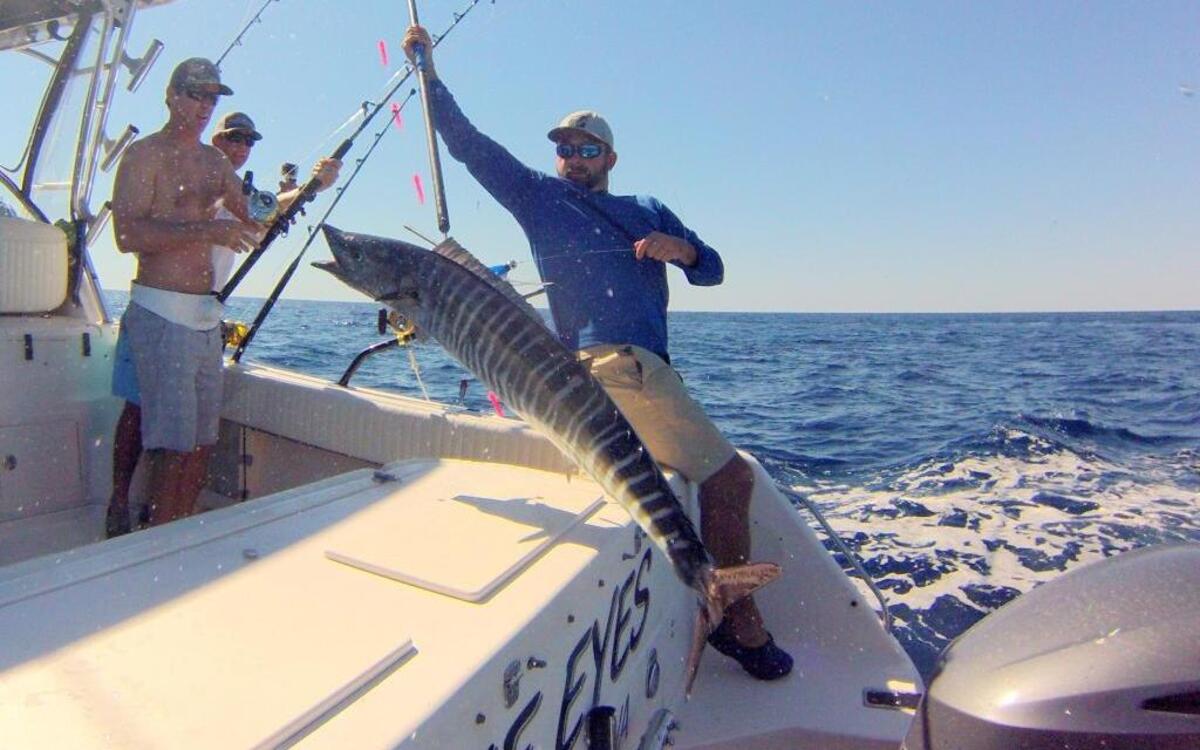 Gaff man Sam Franck pulled a 30-pound class wahoo aboard Blue Eyes on Oct. 16 during the Martini's Hook-A-Hoo Rodeo. Ryan Lisk is the angler.