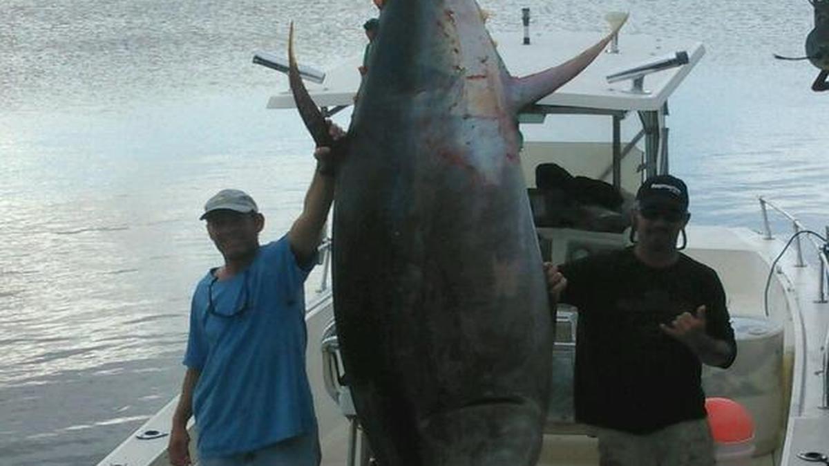 A giant bluefin tuna was landed off the Carolinas coast on Dec. 16.