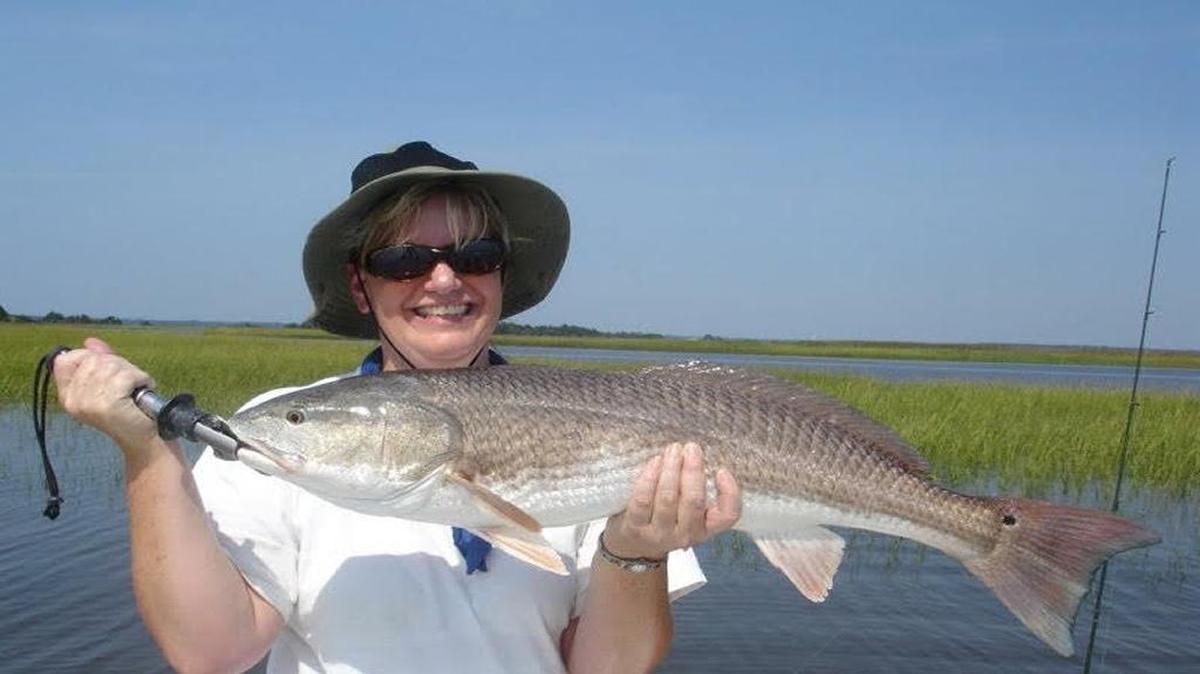 Rep. Stephen Goldfinch (R-Murrells Inlet) is proposing to make red drum in North Inlet near Georgetown a catch-and-release fishery in order to study the reasons behind what some consider a decline in the popular species numbers.