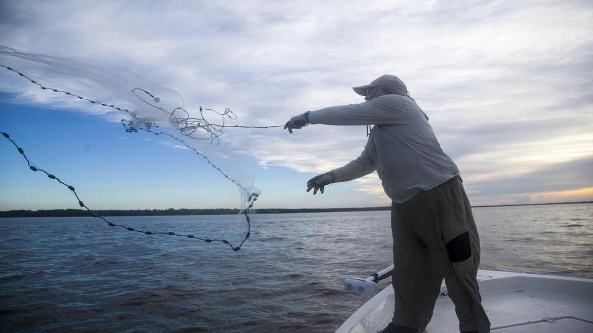 Captain Mike McDonald throws a cast net to catch menhaden to use for bait in Winyah Bay, Georgetown.