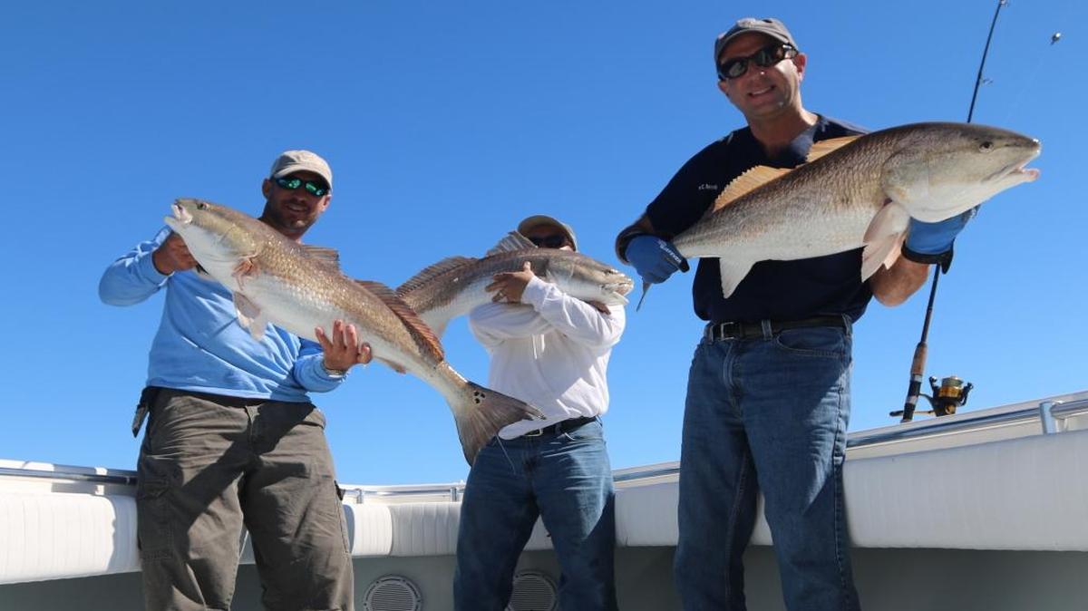 Capt. Jay Sconyers (from left), Gregg Holshouser and Dr. Jason Rosenberg hold up bull reds from their fishing trip Wednesday.