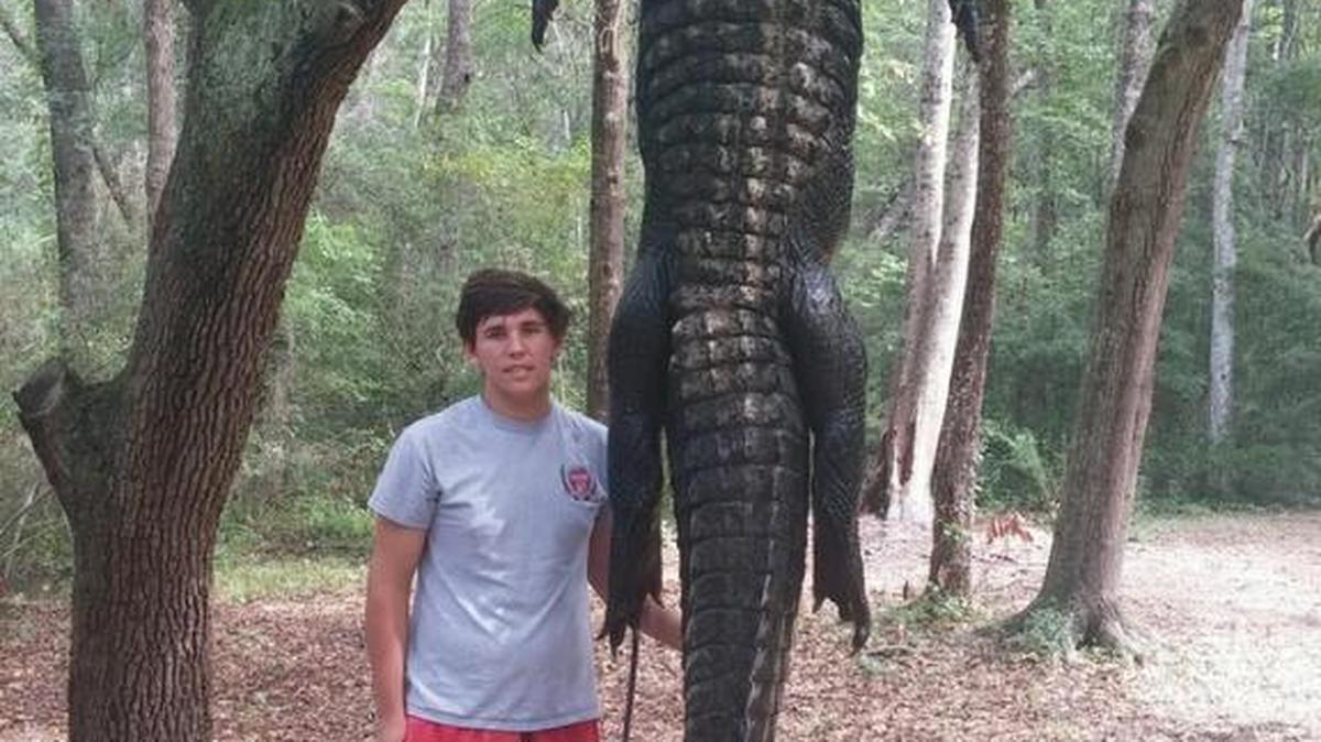Gavin McDowell, 16, stands next to a 13-foot, 5-inch alligator he helped his father and crew catch late Friday night in the Waccamaw River.