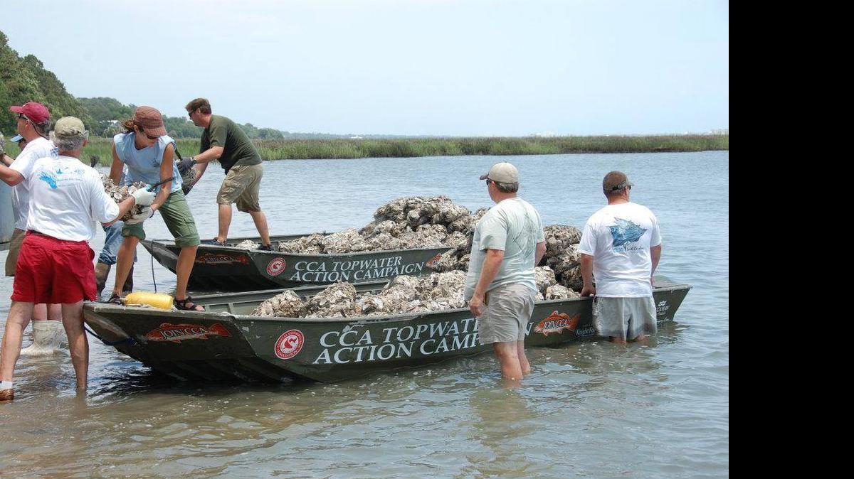 
Coastal Conservation Association South Carolina volunteers will play a big role in four oyster reef building projects along the South Carolina coast in July.
