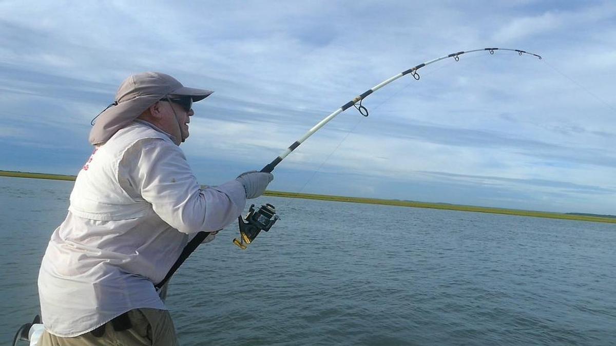 Captain Mike McDonald of Gul-R-Boy Guide Service hooks into a shark during a recent foray in North Inlet.
