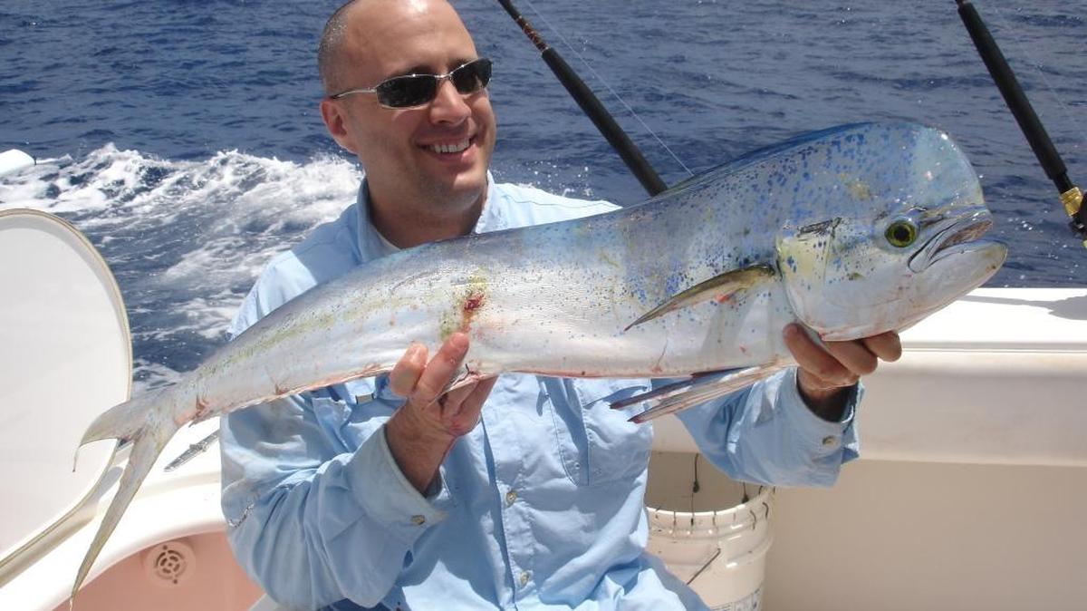 Dave Jaroszewski of Myrtle Beach shows off a dolphin caught near the Winyah Scarp. Dolphin are showing up in the offshore waters accessible from Grand Strand ports.