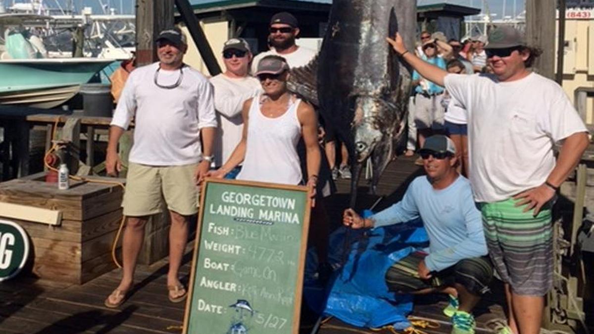 The crew of Game On shows off the 477.2-pound blue marlin they weighed in Friday at Georgetown Landing Marina during the 49th Annual Georgetown Blue Marlin Tournament. Kelli Ann Roof was the angler on the fish.