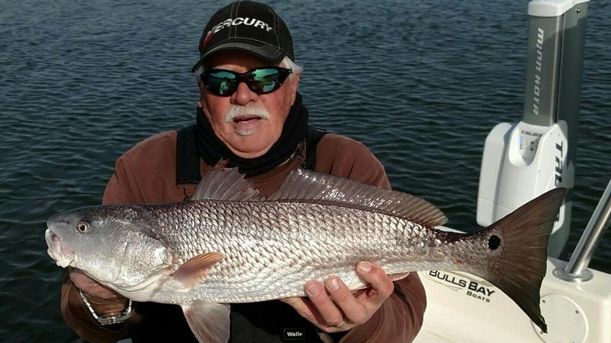 Capt. Lin Fore of LowCountry Expeditions Guide Service shows off a red drum caught in the Winyah Bay vicinity on Tuesday.