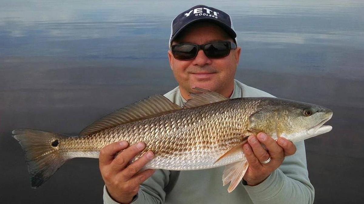 Red drum (above) and black drum have been the hottest species in the near-shore waters following the effects of Hurricane Irma early in the week, with fish caught from Grand Strand piers, the surf, area jetties and near-shore hard-bottom areas.