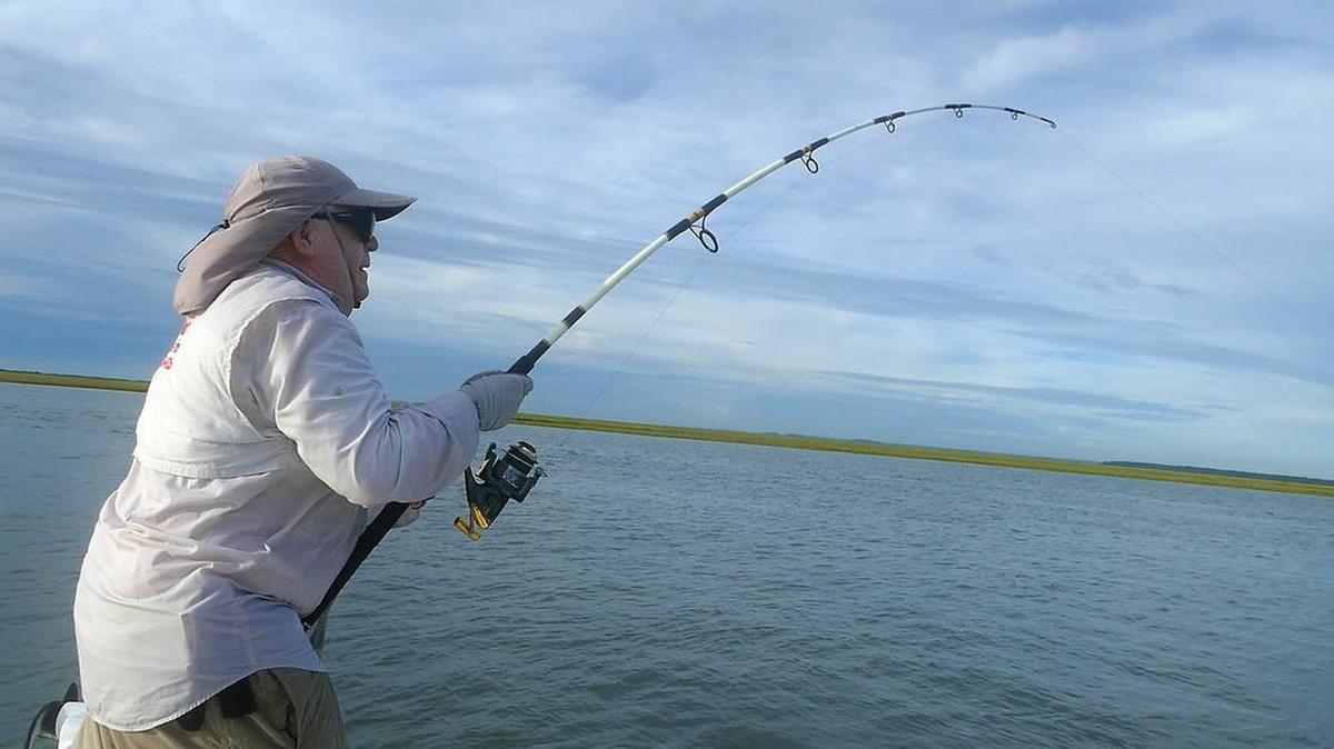 Captain Mike McDonald of Gul-R-Boy Guide Service hooks into a shark in North Inlet.